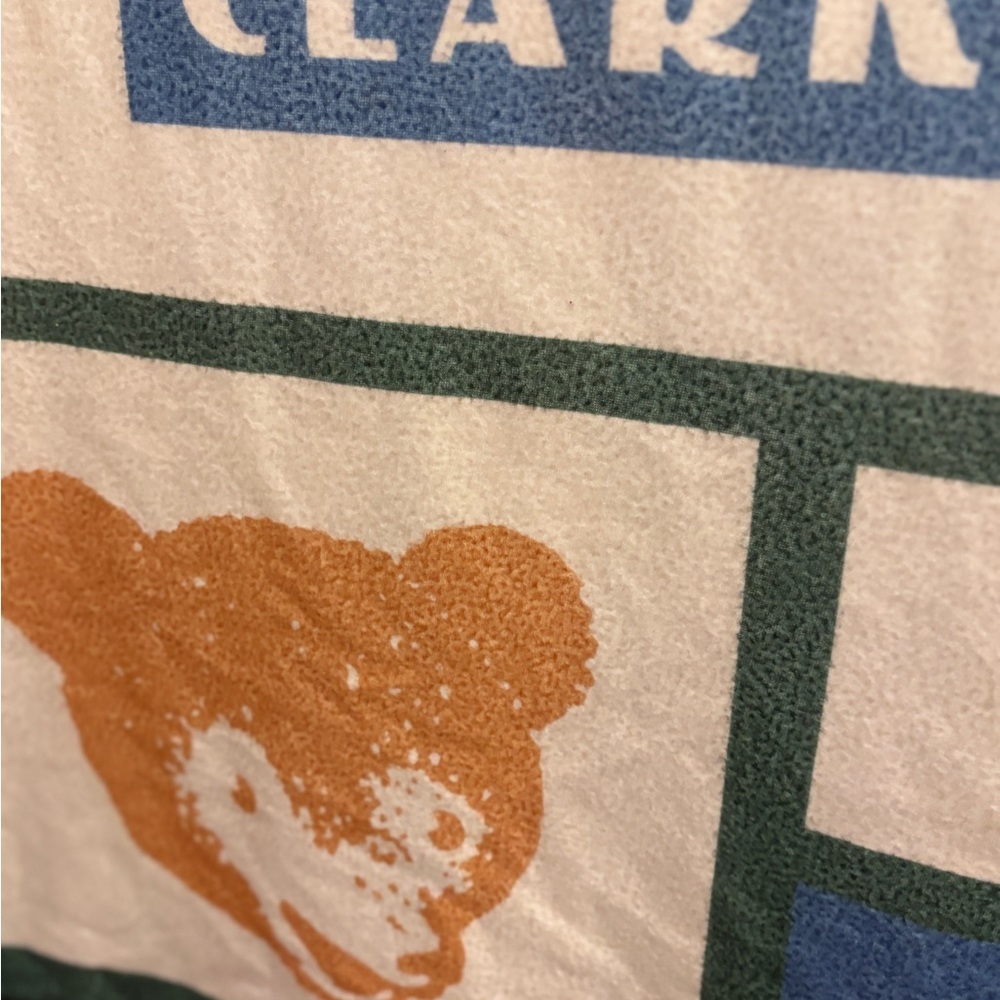 Chicago Cubs Wrigley Field Giveaway 🧢🏟️ Polar Fleece Throw Blanket NWT - Picture 4 of 7